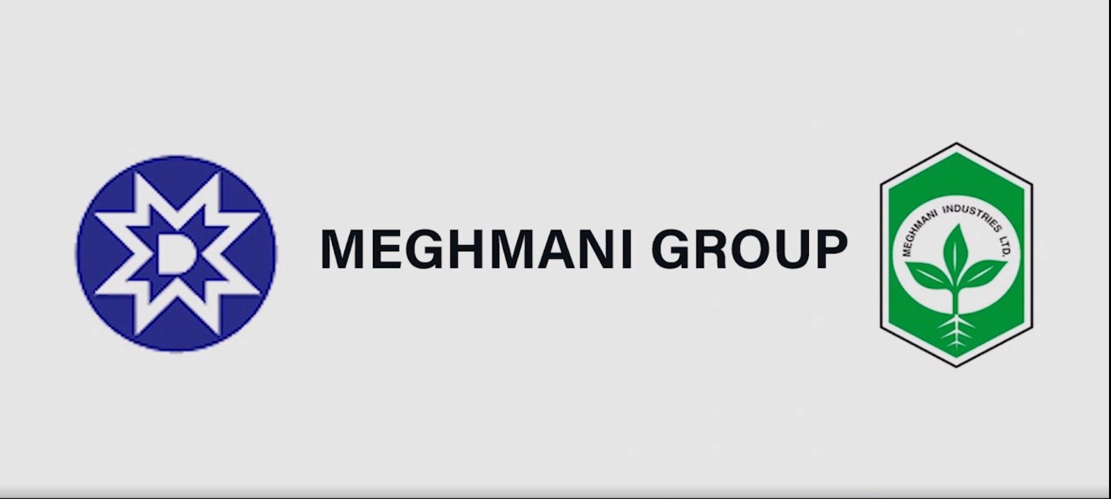 Meghmani Group